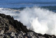 Otra más de Foto Gozón