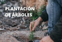 ¡Luanco planta futuro este domingo!