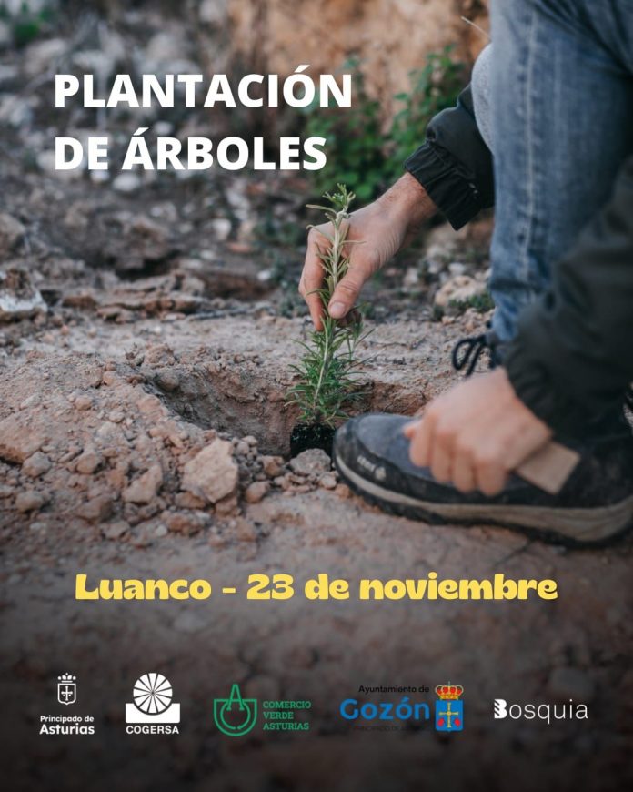 584736284_1162148606036156_5709555287744020885_n