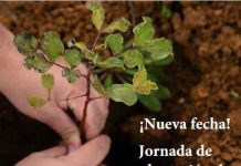 Jornada de plantación de árboles del Programa Comercio Verde Asturias