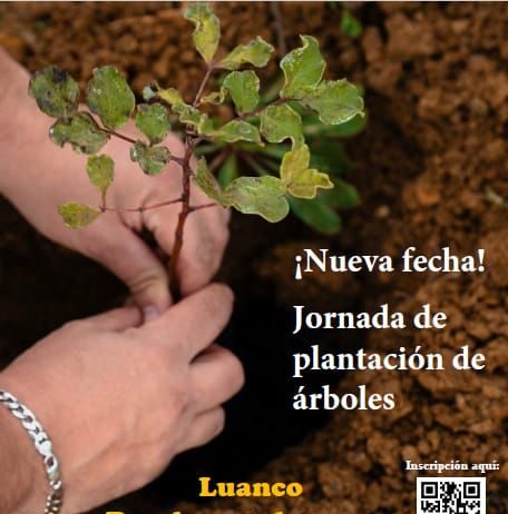 Jornada de plantación de árboles del Programa Comercio Verde Asturias